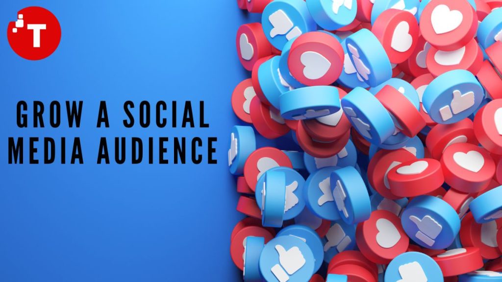 Social Media Audience
